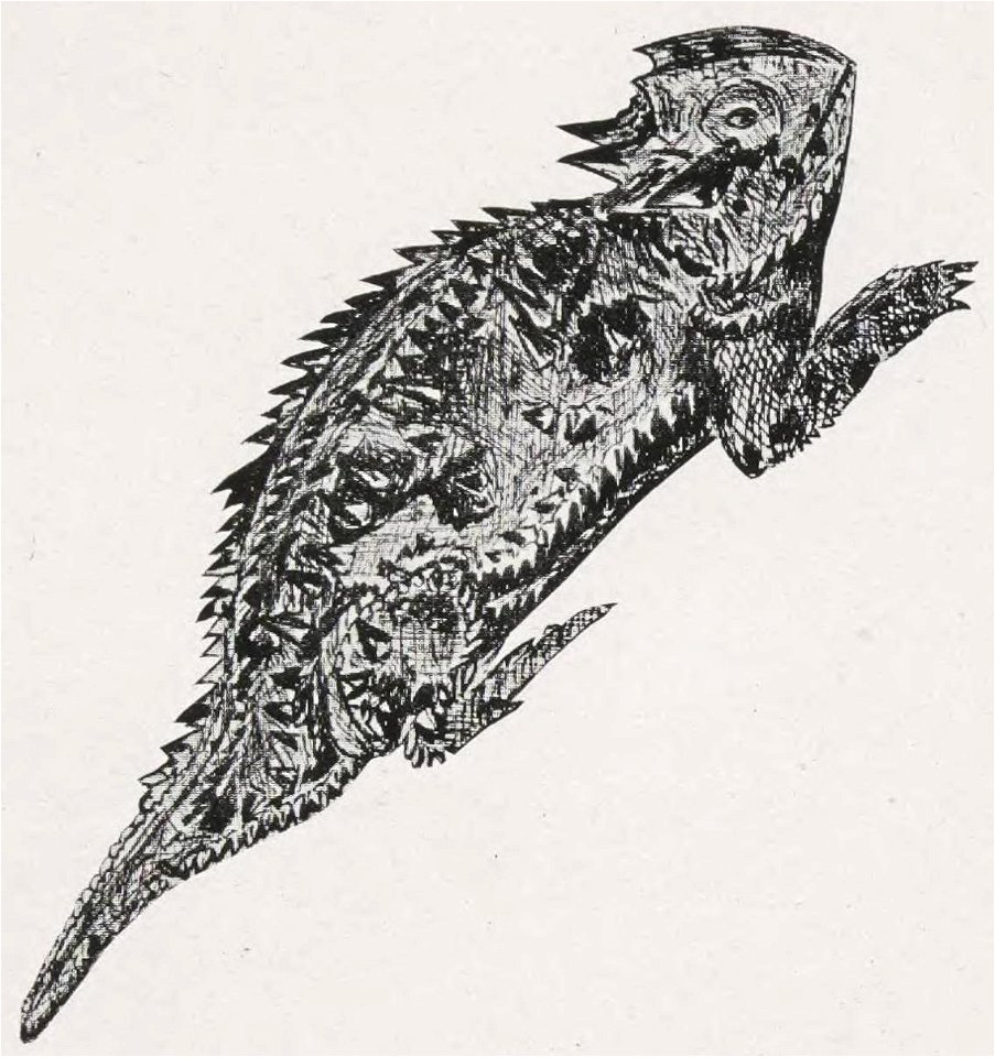 The Horned Frog (1909) - Vol. 6; 296 pgs.