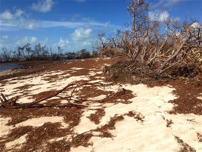 Photo by USFWS photo