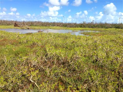 Photo by USFWS