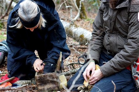 The Carolina northern flying squirrel is a cold-weather animal descendent from the northern flying squirrels pushed south by the ice sheets that covered northern latitudes during the last ice age. Whe