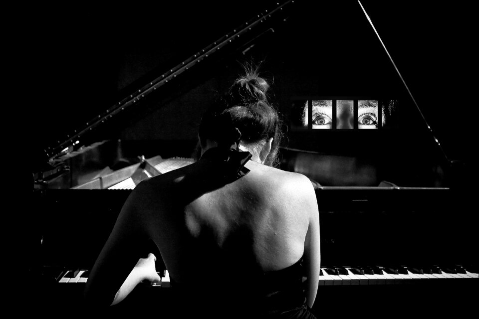 Keyboard musical instrument musician