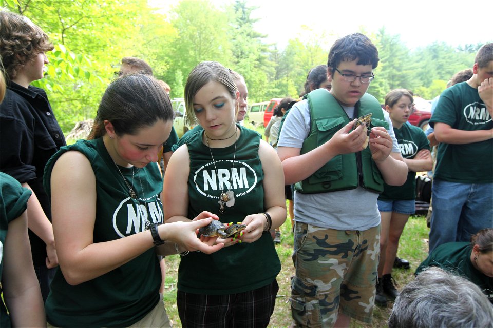 Bristol County Agricultural School sophomores partnered with species experts to raise Blanding's turtles and released them in late spring into wetland habitat. 


Credit: Keith Shannon/USFWS