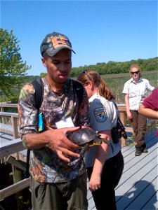 Ryan holding the Blanding's Turtle. Credit: Juancarlos Giese/USFWS photo