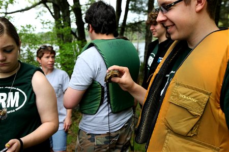 Blanding's turtle release, Assabet River, MA. Credit: Keith Shannon/USFWS photo