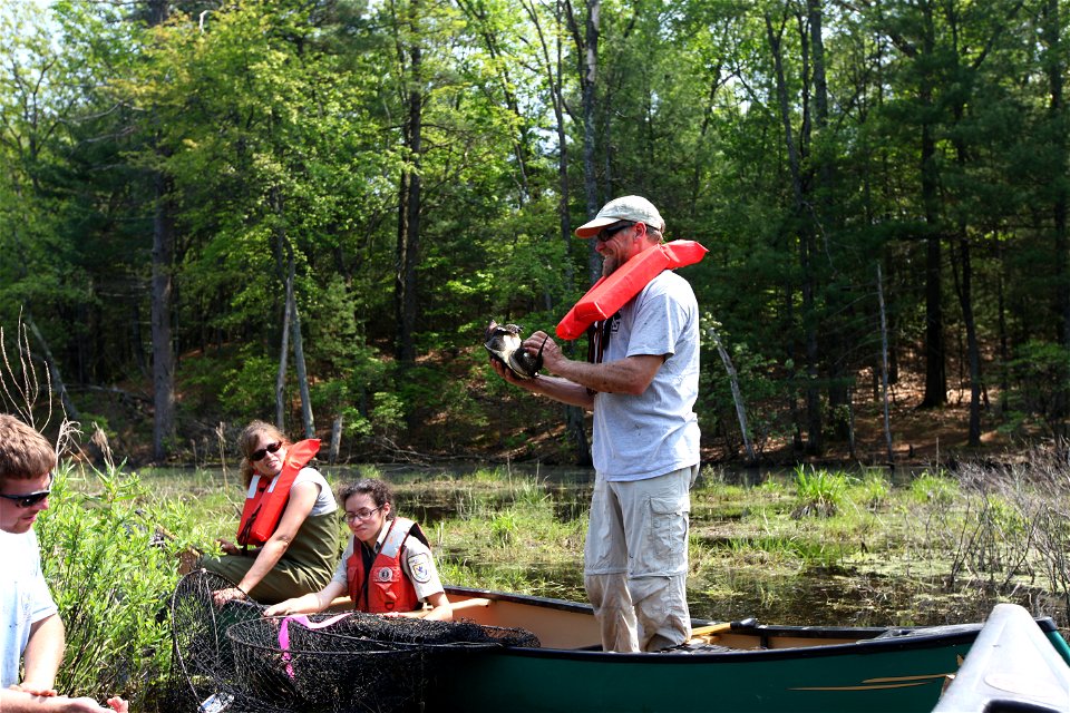Blanding's turtle release, Assabet River, MA. 


Credit: Keith Shannon/USFWS