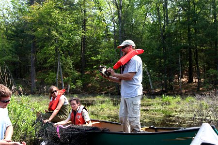 Blanding's turtle release, Assabet River, MA. Credit: Keith Shannon/USFWS photo