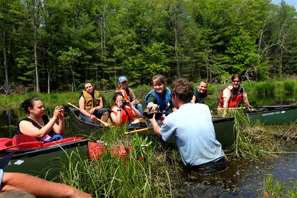 Blanding's turtle release, Assabet River, MA. 


Credit: Keith Shannon/USFWS