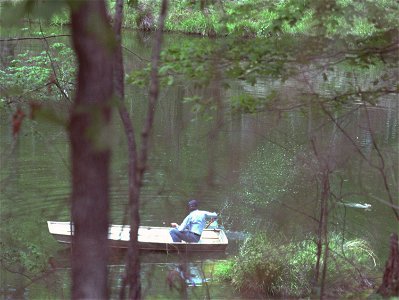 President of the United States Jimmy Carter in a boat in Plains, Georgia, chasing away a swamp rabbit (Sylvilagus aquaticus). This led to the "Jimmy Carter rabbit incident".