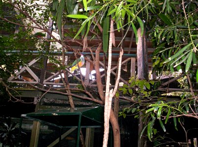 Aviary at Brisbane Forest Park, Queensland, Australia. This photo was taken in August, 2007 photo