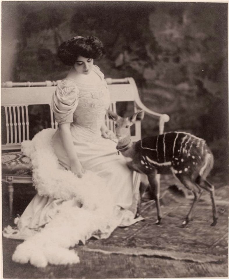 Portrait à l’Antilope, vente aux enchères "Photographies par Otto Wegener (1849-1924)" à Hôtel de vente Drouot le 8 novembre 2018