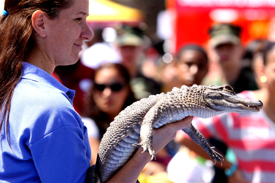 A Sea World assistant presents Charlie the alligator to an audience during the 18th annual Kids First Fair at the Paige Field House. Marine Corps Base Camp Pendleton, Calif., April 27, 2013.