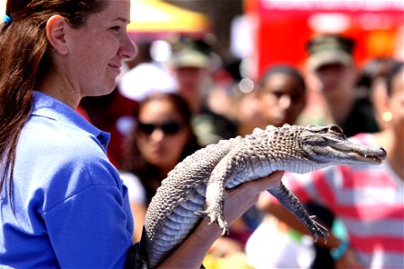 A Sea World assistant presents Charlie the alligator to an audience during the 18th annual Kids First Fair at the Paige Field House. Marine Corps Base Camp Pendleton, Calif., April 27, 2013. photo