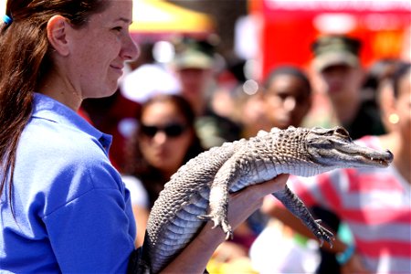 A Sea World assistant presents Charlie the alligator to an audience during the 18th annual Kids First Fair at the Paige Field House. Marine Corps Base Camp Pendleton, Calif., April 27, 2013.