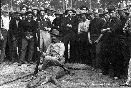 Local call number: N041288
Title: [Alligator shot by the captain of 4th Illinois Volunteers : Jacksonville, Florida]
Date of image: 1898.
Physical descrip: 1 photonegative : b&w ; 4