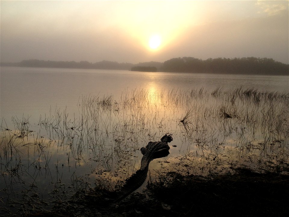 Nine Mile Pond, NPSPhoto, S.Cotrell