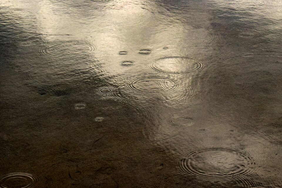 Nature reflection autumn mood