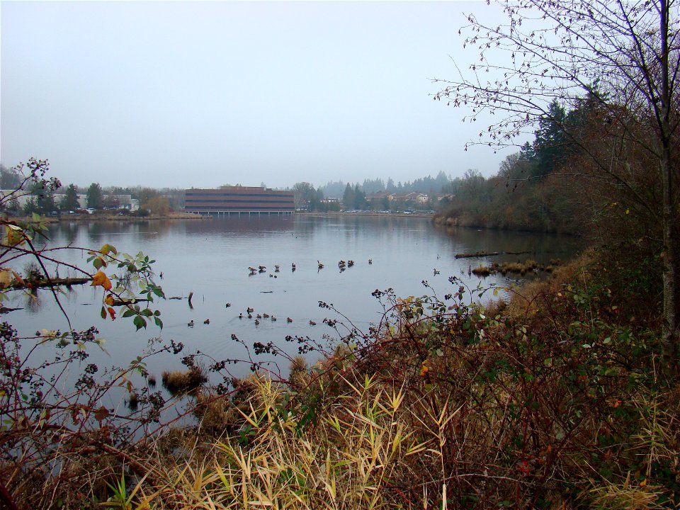 Greenway Park pond