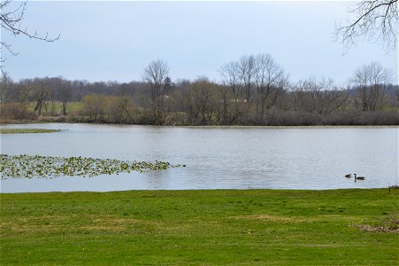 Overview of Mud Lake, the source of the Vermilion River, from Lake Drive north of McClain Road in Bailey Lakes, Ohio, United States. photo