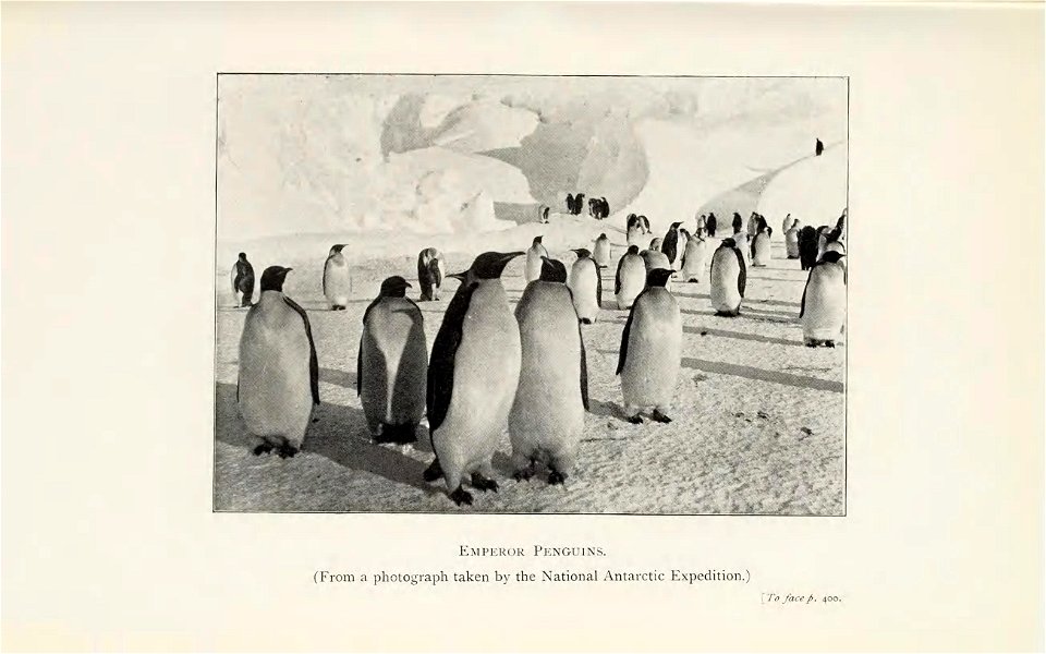The siege of the South pole; the story of Antarctic exploration /