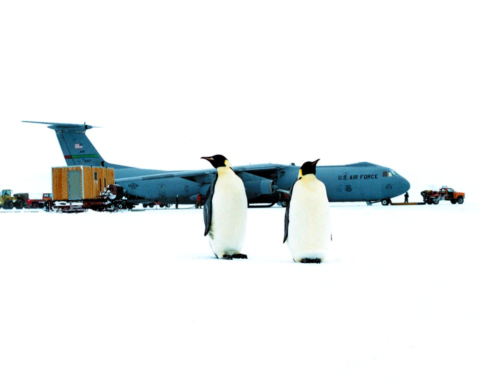 This image was a personal photo shot by C-141 Flight Engineer SMSgt Bob Pederson in October of 1997. It was a rare moment that the penguins would come so close to the aircraft on the ice runway at McM