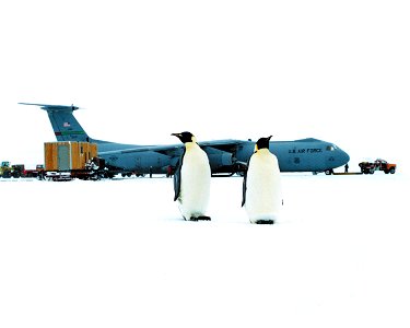 This image was a personal photo shot by C-141 Flight Engineer SMSgt Bob Pederson in October of 1997. It was a rare moment that the penguins would come so close to the aircraft on the ice runway at McM