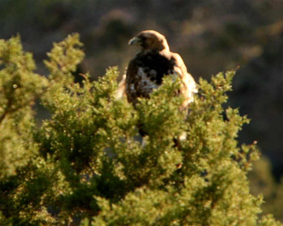 The 19,410-acre Aravaipa Canyon Wilderness is 120 miles southeast of Phoenix, Arizona in Graham and Pinal counties.  The wilderness includes the 11-mile long Aravaipa Canyon, as well as, the surroundi