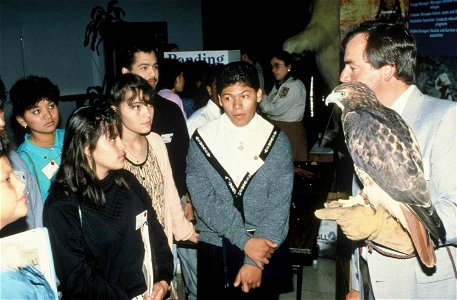 Image title: Man lecturer teaches teenagers about birds Image from Public domain images website, http://www.public-domain-image.com/full-image/people-public-domain-images-pictures/crowd-public-domain- photo