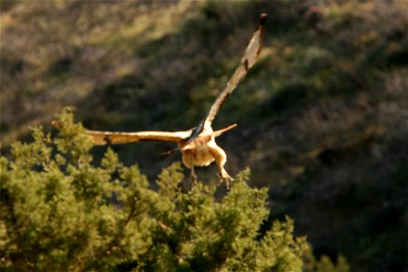 The 19,410-acre Aravaipa Canyon Wilderness is 120 miles southeast of Phoenix, Arizona in Graham and Pinal counties.  The wilderness includes the 11-mile long Aravaipa Canyon, as well as, the surroundi