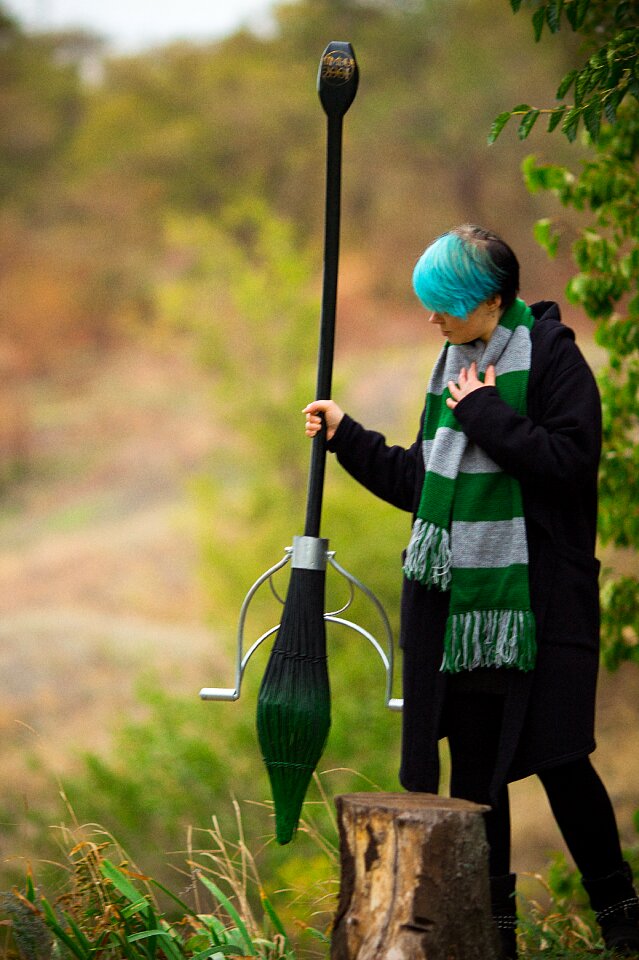 Broom nimbus slytherin