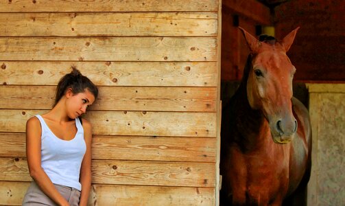 People nature horse