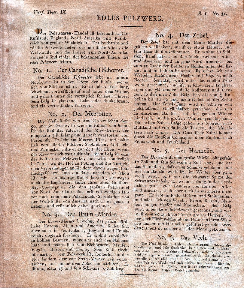 Kupferstich Vierf. Thiere IX Quadruped IX und Textblatt Edles Pelzwerk mit Hinweis auf Fellverarbeitung und Pelzhandel. Altkolorierter orig. Kupferstich, herausgegeben und verlegt von Friedrich Justin