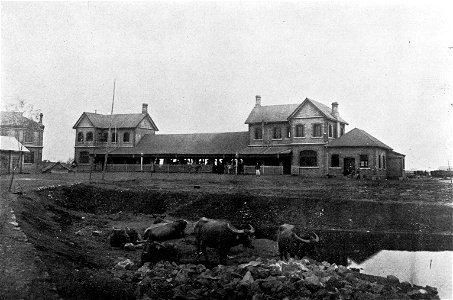 Photo from Souvenir of Nanking