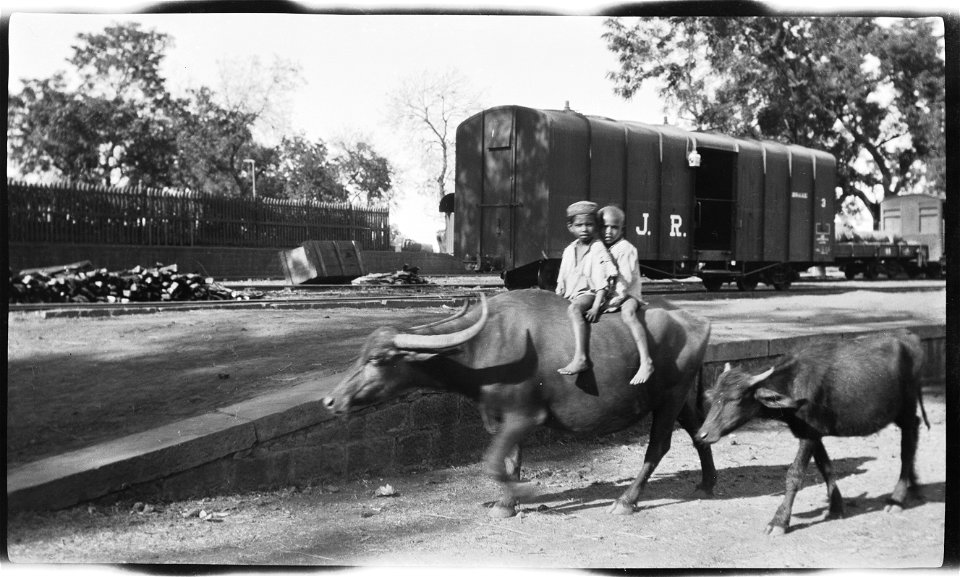 Pacora, Maharashtra, India
Children and buffaloes by the railway. G. Morgenstierne himself claims that the picture was taken in Pachora, between Vijaynagar and Bijapur (which must be wrong).