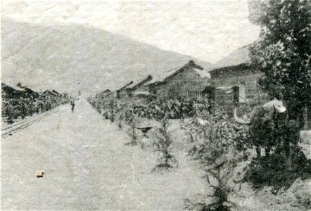花蓮港廳官營移民村吉野村。