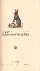 Rauchware (Pelze und Preise) 1910. Ohne Autorenangabe. Vermutlich Katalog anlässlich einer Pelzmodenschau. Jede Seite eingeleitet mit der Beschreibung eines Pelztiers, dann Modellnamen und Preise. photo