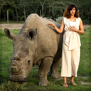 KENYA, Laikipia: In a photograph taken 22 May 2015 by Make It Kenya and made available 25 May, US-born model and Bollywood actress Nagris Fakhri stands with ‘Sudan’, the world’s last remaining male no