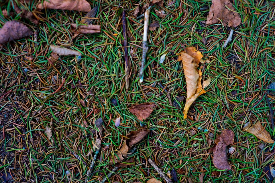 Autumn underground structure
