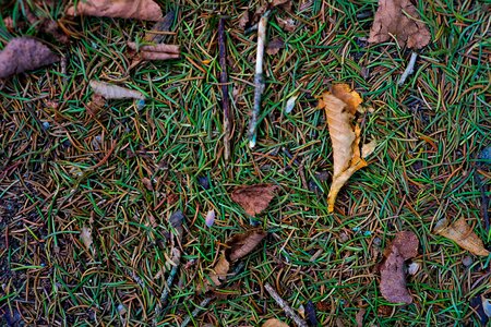 Autumn underground structure