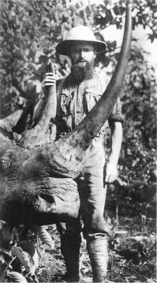Zoologist Herbert Lang with the northern white rhinoceros (Ceratotherium simum cottoni) that now occupies a diorama in the Carl Akeley Hall of African Mammals at the American Museum of Natural History