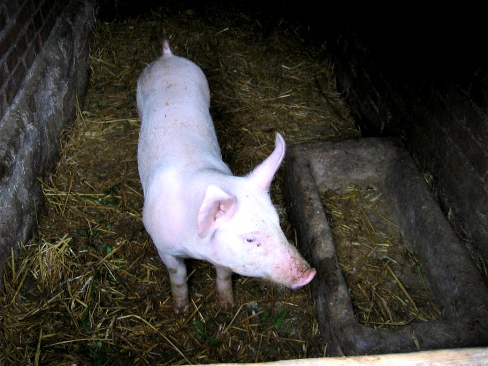 Ecomusée d'Alsace