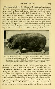 Types and breeds of farm animals /  by Charles S. Plumb.