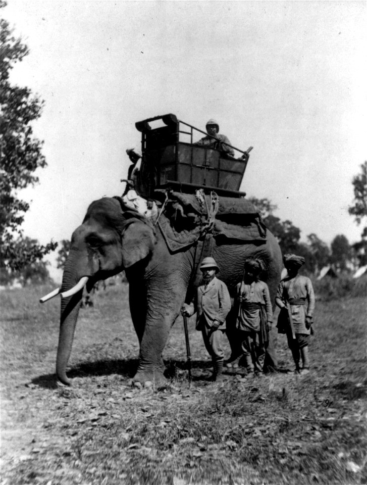 Prince of Wales posing with elephant bearing a howdah, Terai, India