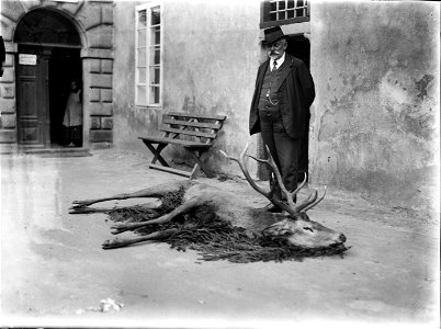 Lesní rada Ing. František Blažek (1867–1937) s uloveným jelenem na nádvoří Rožmitálského zámku