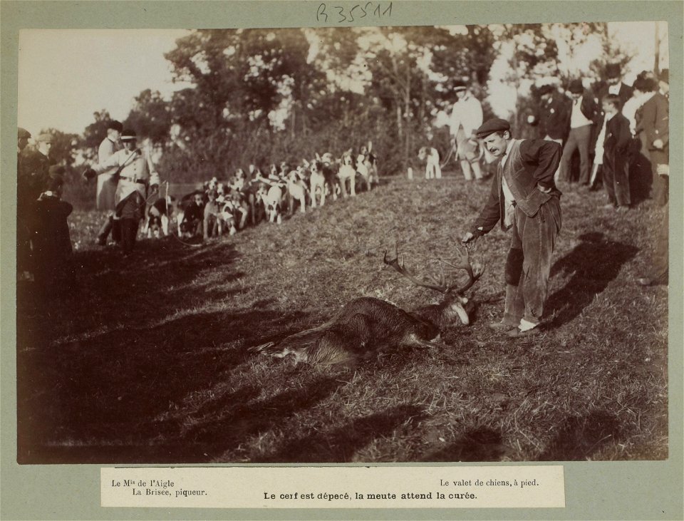 File:Btv1b84333300-p064.jpg [Collection Jules Beau. Photographie sportive] : T. 10. Année 1899 / Jules Beau : F. 30v. [Château de Francport, laisser-courre, chez Marquis de l  Aigle, saison 