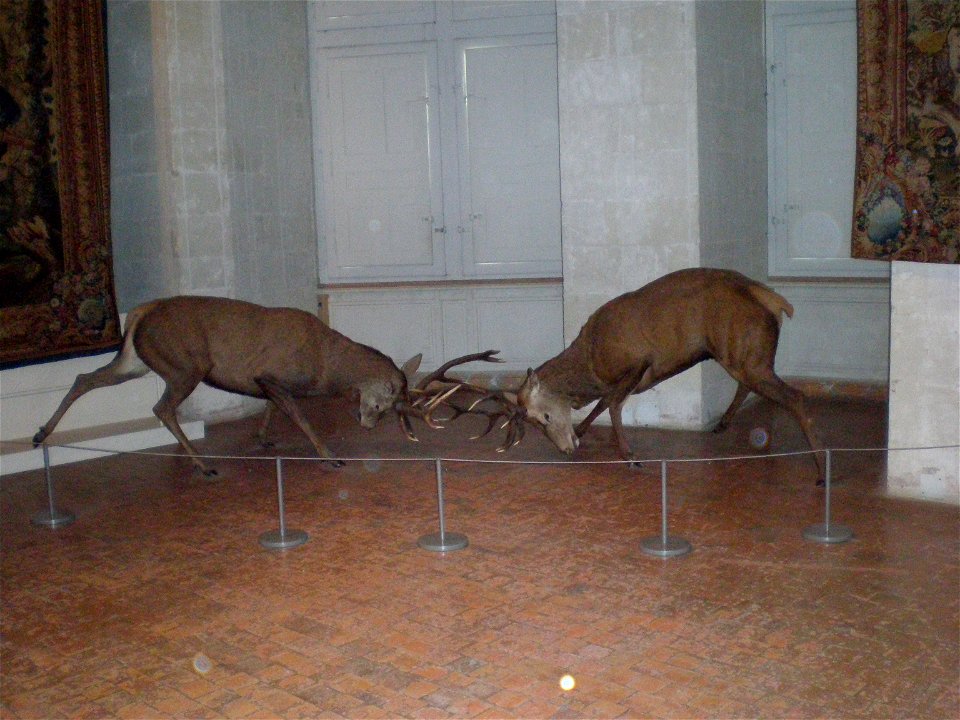 Intérieur du chateau de Chambord