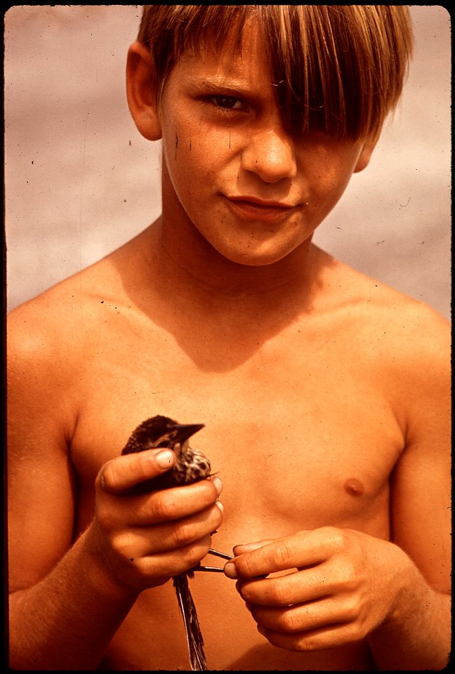 THIS FISHERMAN'S SON LIVES IN , DEEP IN THE WETLANDS OF LOUISIANA