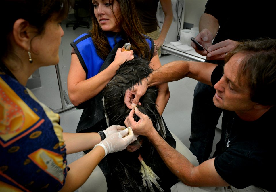 Photo: Jon Myatt/USFWS