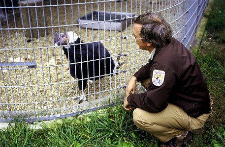 FWS Biologist with Condor