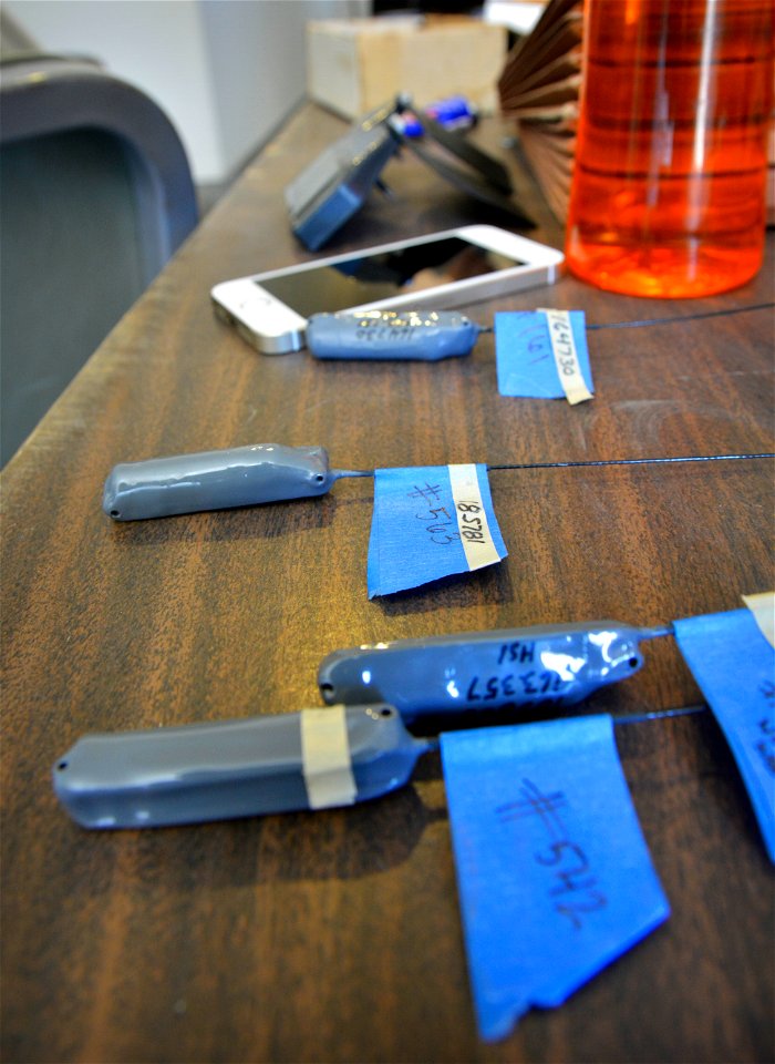 Brand new tail-mount VHF transmitters. Biologists attach one or two transmitters to the tail feathers of each condor.  Photo: Jon Myatt/USFWS
