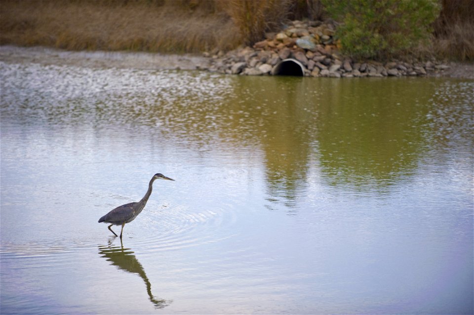 [Water Runoff 2] 412-DSP-2-Runoff_081.jpg